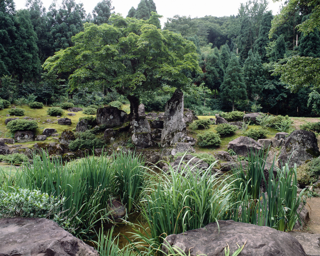 2015GL#30Asakura Villa Fukui Tree 30-239-815